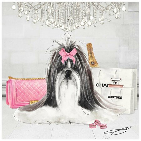 SOLID STORAGE SUPPLIES Pink Shih TZU Unframed Free Floating Tempered Glass Panel Graphic Dog Wall Art Print - 20 x 20 in. SO3495114